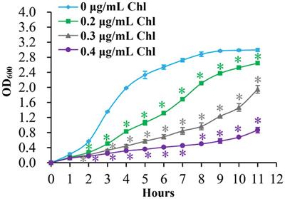 Effect of sublethal dose of chloramphenicol on biofilm formation and virulence in Vibrio parahaemolyticus